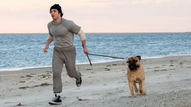 Ya está aquí el tráiler de 'Yo soy Rocky': la película sobre el origen de Rocky Balboa