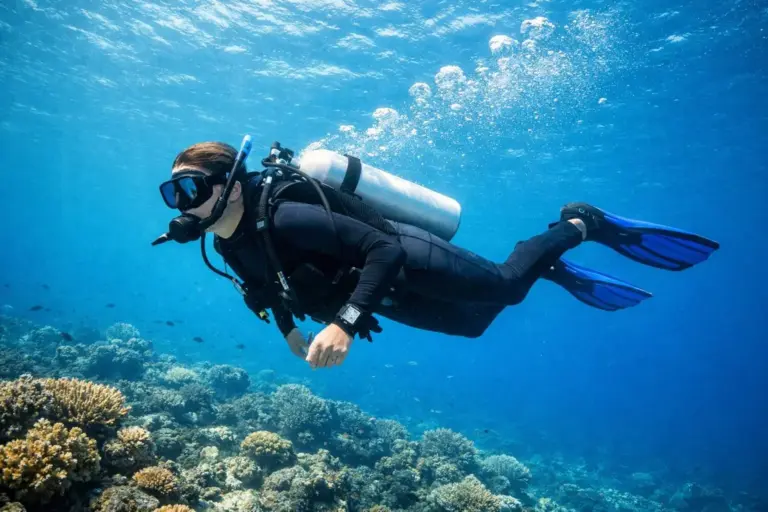 Un cable submarino de 500 millones cambia su ruta en Reino Unido por la tumba de Dobby
