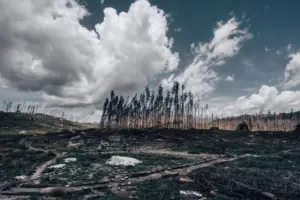 destinos golpeados por desastres naturales