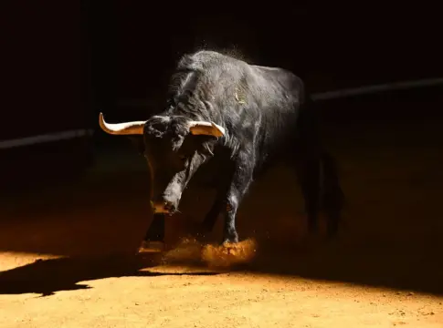festejos taurinos