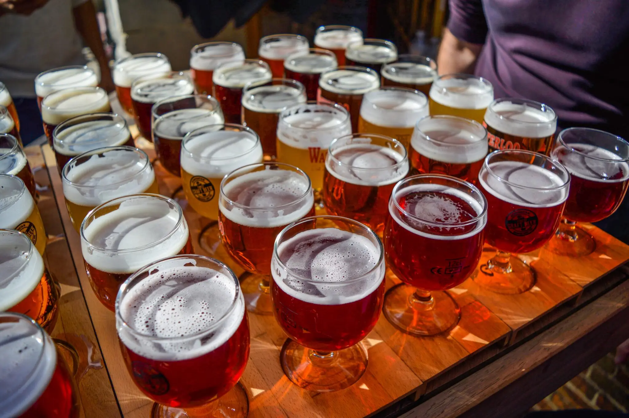 Birragoza 2026: el festival de cerveza artesana que conquista Zaragoza este agosto 1 festival cerveza artesana Zaragoza