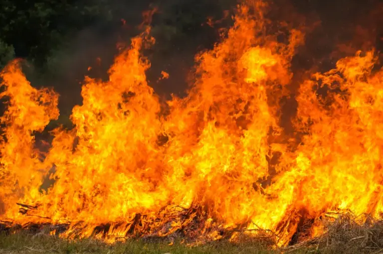 El decreto de incendios que desbloqueará ayudas fiscales a los damnificados esta misma semana