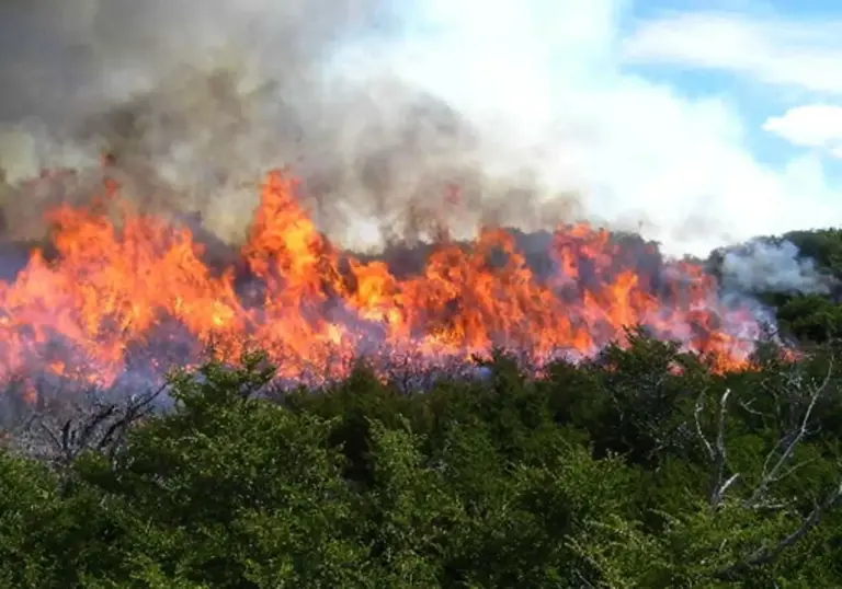 Incendio en Castellón: 18.000 evacuados y el fuego descontrolado amenaza a 50.000 personas
