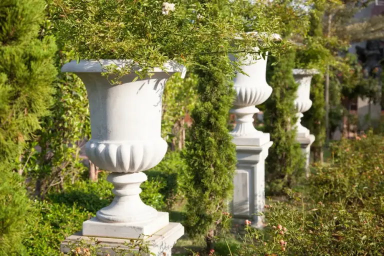 Ni trasplantar ni podar demasiado: los 10 errores de jardinería que pueden dañar tus plantas durante una ola de calor