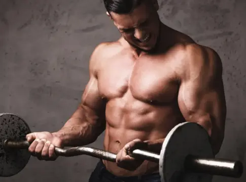 musculos 2