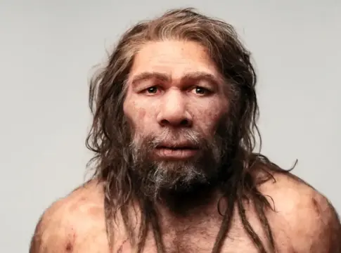 El Sidrón, la cueva asturiana donde los neandertales ya se automedicaban con plantas hace 50.000 años El Sidrón, la cueva asturiana donde los neandertales ya se automedicaban con plantas hace 50.000 años