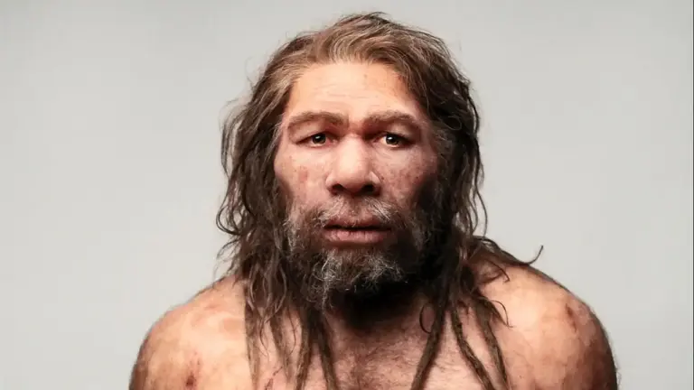 El Sidrón, la cueva asturiana donde los neandertales ya se automedicaban con plantas hace 50.000 años