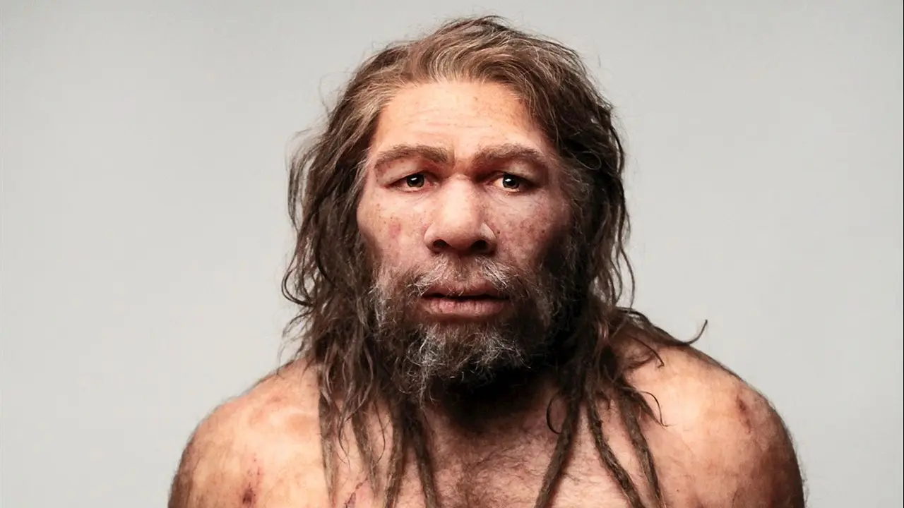 El Sidrón, la cueva asturiana donde los neandertales ya se automedicaban con plantas hace 50.000 años El Sidrón, la cueva asturiana donde los neandertales ya se automedicaban con plantas hace 50.000 años