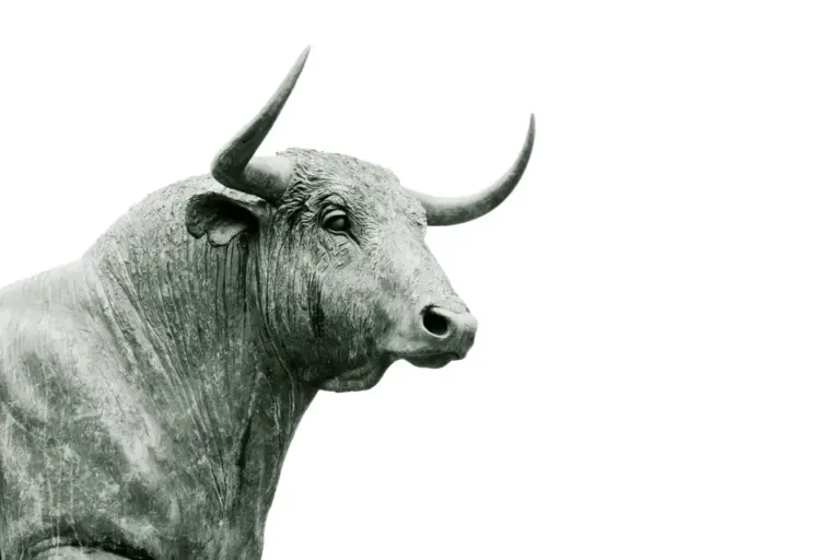 PACMA formaliza su demanda contra el Toro Júbilo de Medinaceli por ilegalidad