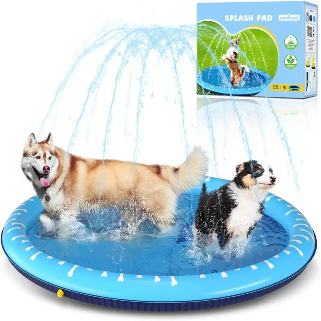 piscina perros