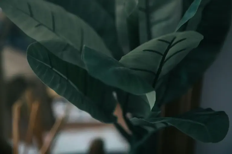 6 plantas decorativas que ahuyentan cucarachas en verano (sin insecticidas)