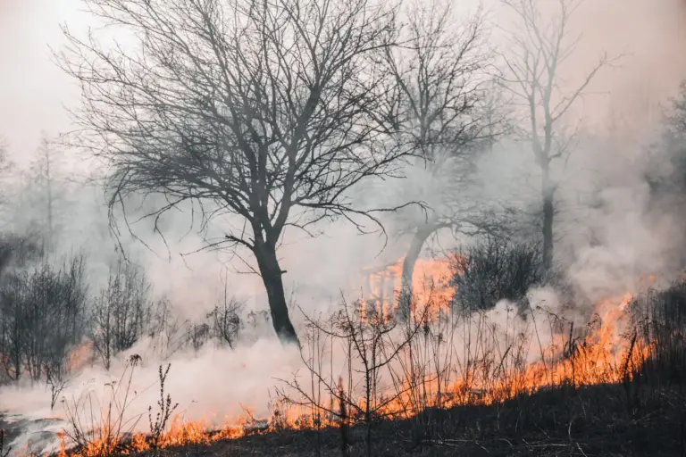 Recorte del 10% en prevención de incendios en Valencia: el Consell de Pérez Llorca y Vox recorta 10,7 millones a los bomberos