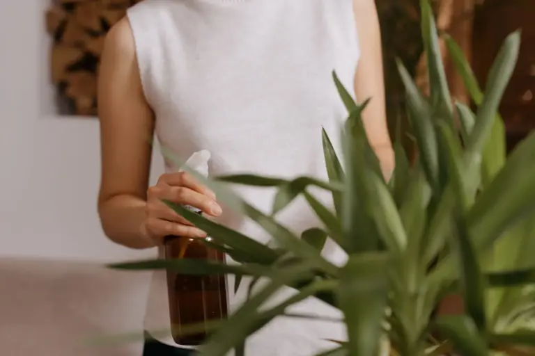 Regar plantas en verano: por qué no debes hacerlo a las 3 de la tarde