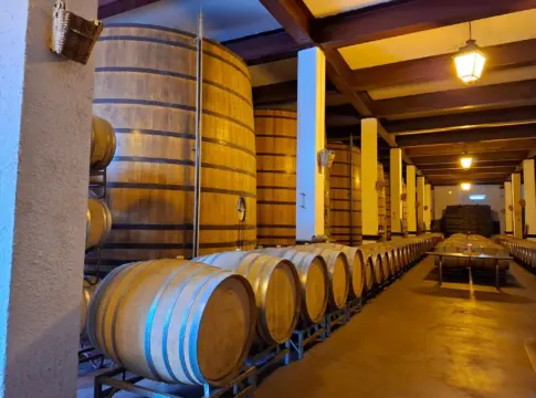 ruta-bodegas-jerez-a-pie-unica-enoturismo-jerez-1 enoturismo Jerez