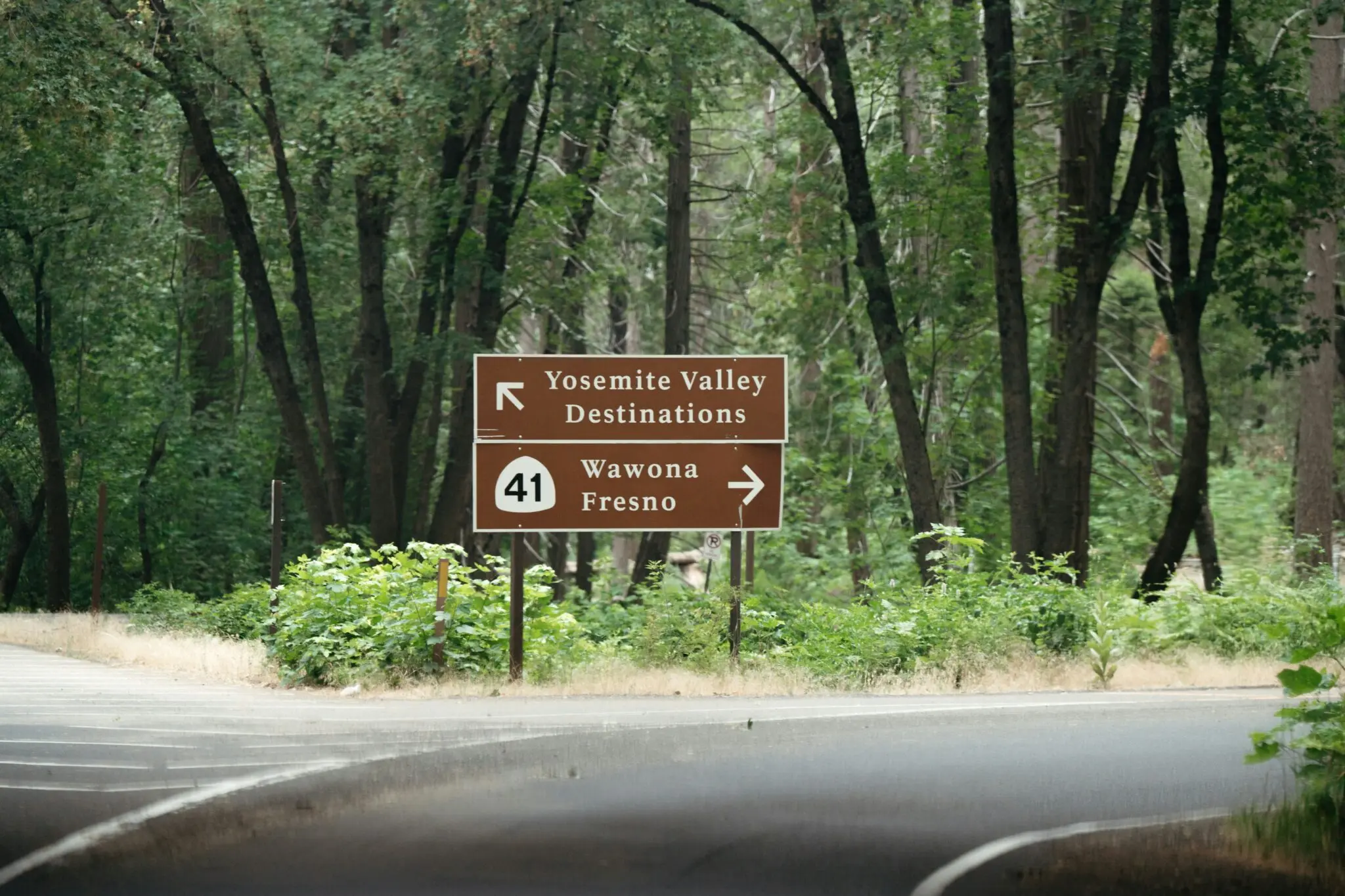 Seis antiguos parques nacionales de EE.UU. que aún puedes visitar 2 parques nacionales dados de baja