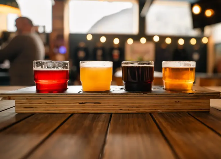 Atención cerveceros: este sábado 11 vuelve el festival de cerveza artesana Tolivia Fest a Laviana con 26 elaboradores
