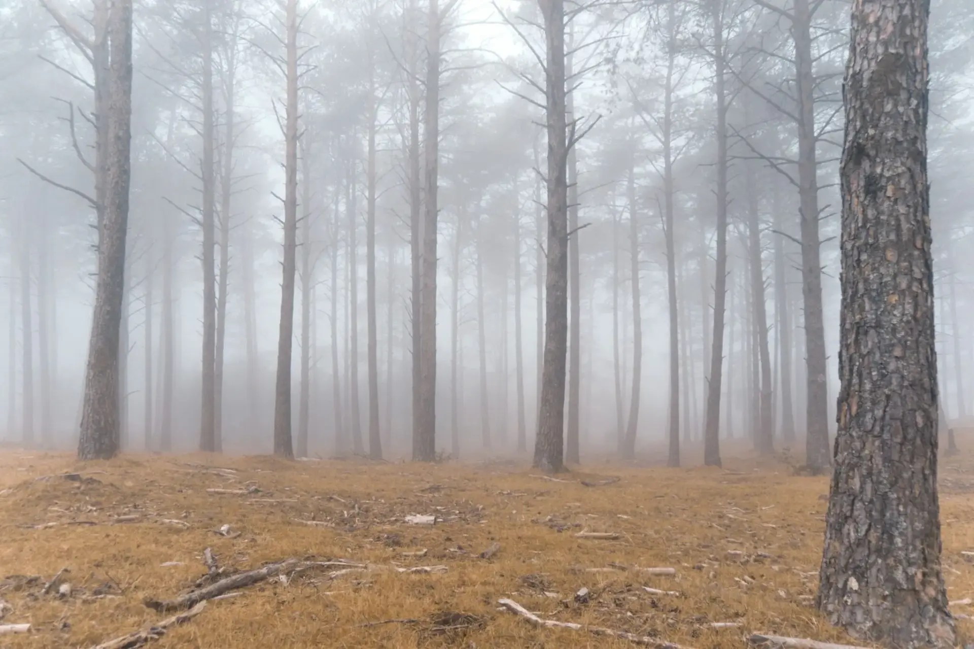 6-lugares-del-mundo-misteriosos-portada 6 lugares del mundo tan misteriosos que aún nos siguen sorprendiendo