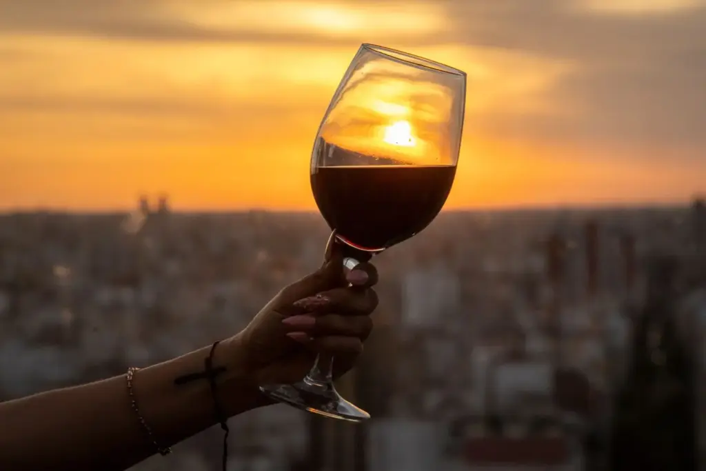 Aldi ha colocado en su stock dos vinos por menos de 5 euros que se encuentran entre los mejores del mundo 1 Aldi consigue dos reconocimientos con vinos de menos de 5 euros