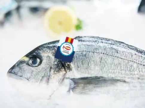 Dorada Dorada a la plancha