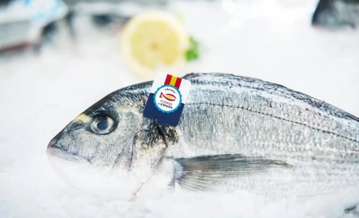 Dorada Dorada a la plancha