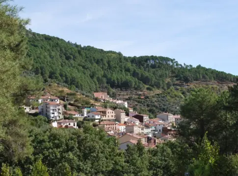 La piscina natural de Ávila con sombra de pinos y aguas cristalinas para escapar del calor en familia La piscina natural de Ávila con sombra de pinos y aguas cristalinas para escapar del calor en familia