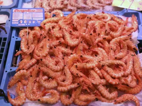 Langostinos Langostinos
