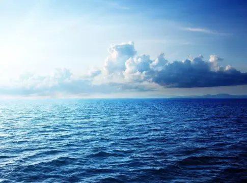 El CSIC descubre las bacterias marinas capaces de El CSIC descubre las bacterias marinas capaces de