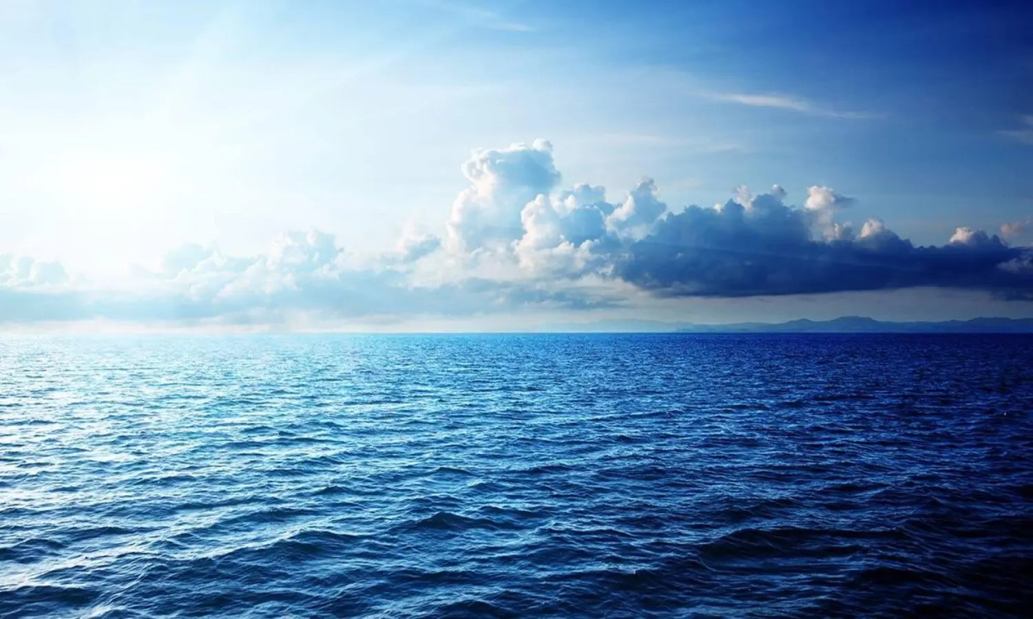 El CSIC descubre las bacterias marinas capaces de El CSIC descubre las bacterias marinas capaces de