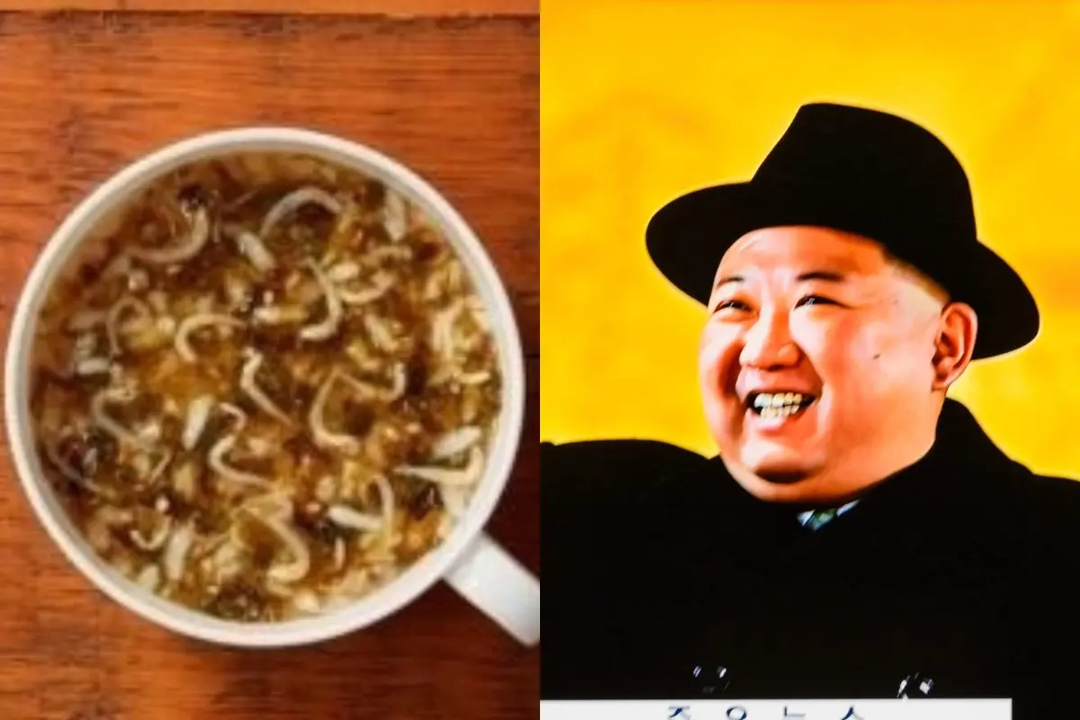 Sopa de perro Sopa de perro