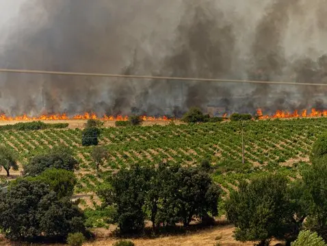 Vista del incendio forestal, a 25 de julio de 2026, en San Martín de Valdeiglesias, Madrid Vista del incendio forestal, a 25 de julio de 2026, en San Martín de Valdeiglesias, Madrid
