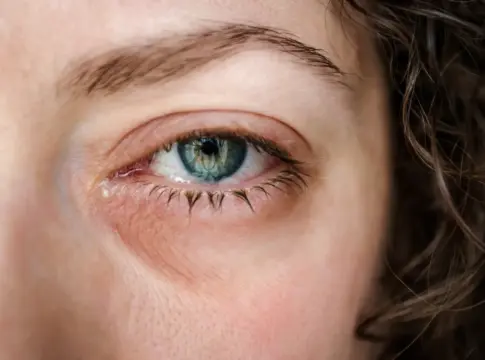 El hallazgo en el cerebro que explica por qué olvidamos lo que comemos El hallazgo en el cerebro que explica por qué olvidamos lo que comemos