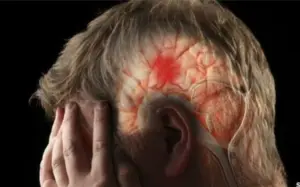 Científicos de la Universidad de Washington en San Luis hallan un nuevo escudo inmunitario cerca del cerebro