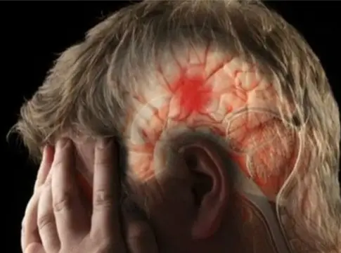 Científicos de la Universidad de Washington en San Luis hallan un nuevo escudo inmunitario cerca del cerebro Científicos de la Universidad de Washington en San Luis hallan un nuevo escudo inmunitario cerca del cerebro