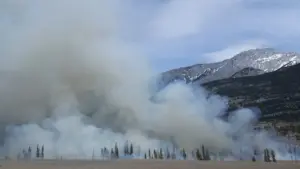 dominamos el fuego
