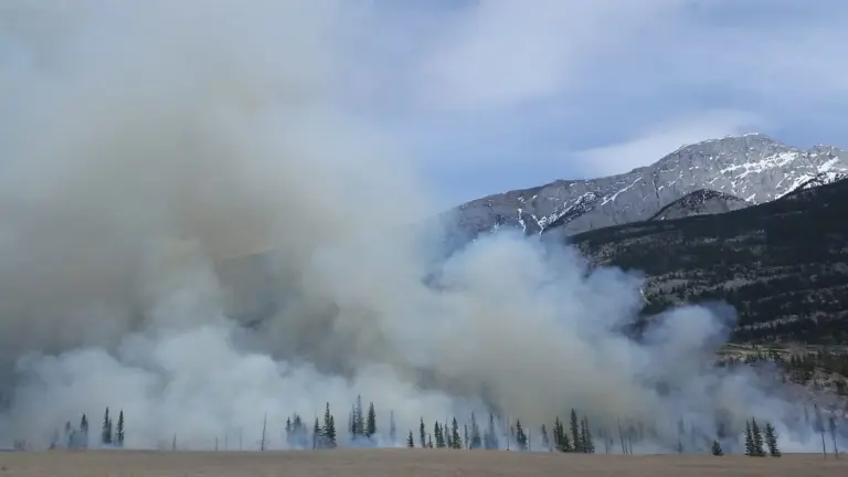 Dominamos el fuego, pero los incendios deshacen el mundo
