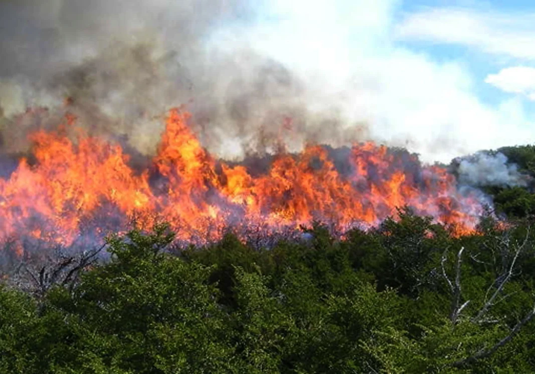 incendios 1111 incendios 1111