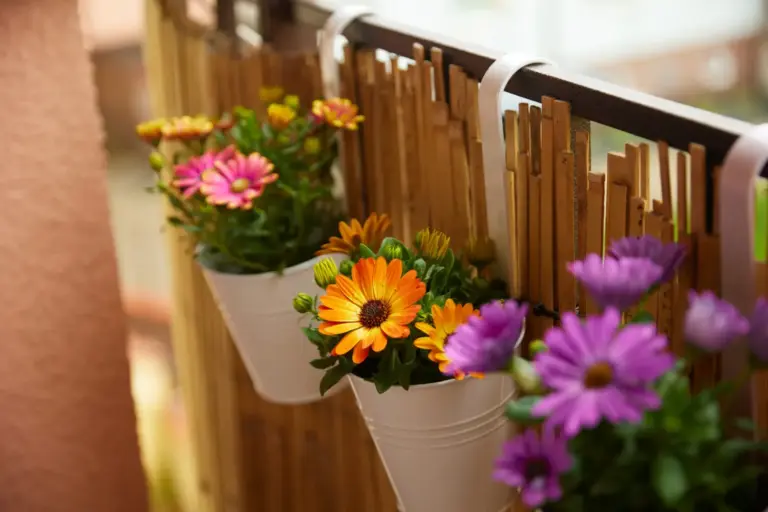Las plantas para el balcón en septiembre: las 5 con flor que aguantan hasta la próxima temporada