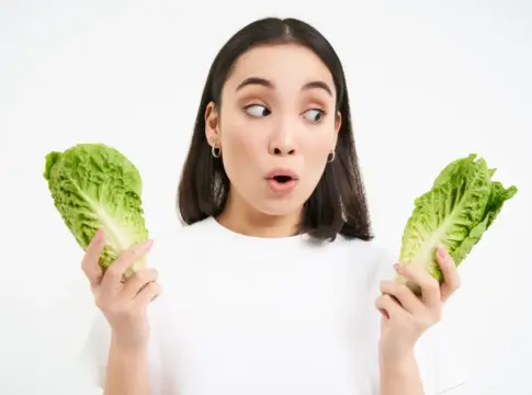 lechuga