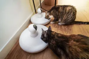 Litter-Robot 5 Pro