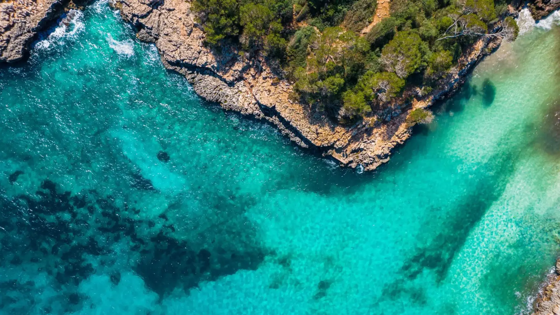 mejores-calas-cerca-valencia-verano-portada calas cerca de Valencia