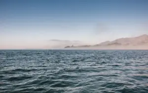 National Geographic descubre en el Pacífico un gigante que desafía todo lo que sabíamos: no es una ballena y lleva siglos oculto