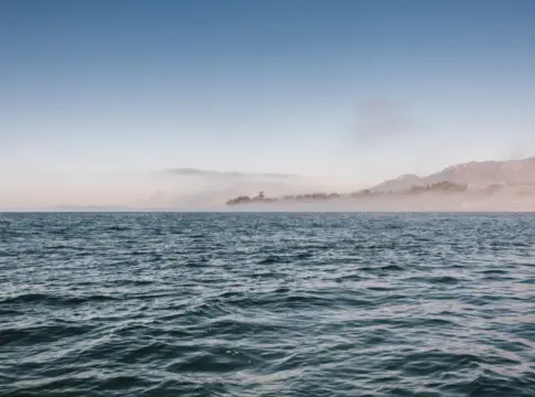 National Geographic descubre en el Pacífico un gigante que desafía todo lo que sabíamos: no es una ballena y lleva siglos oculto National Geographic descubre en el Pacífico un gigante que desafía todo lo que sabíamos: no es una ballena y lleva siglos oculto
