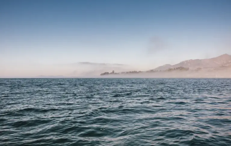 National Geographic descubre en el Pacífico un gigante que desafía todo lo que sabíamos: no es una ballena y lleva siglos oculto