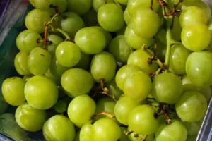 Peldanyos uvas moscatel