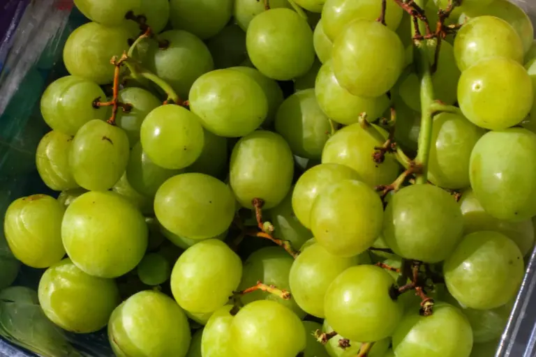 El zasca de Peldanyos: las nuevas uvas moscatel con sabor a caramelo 'no son uvas'