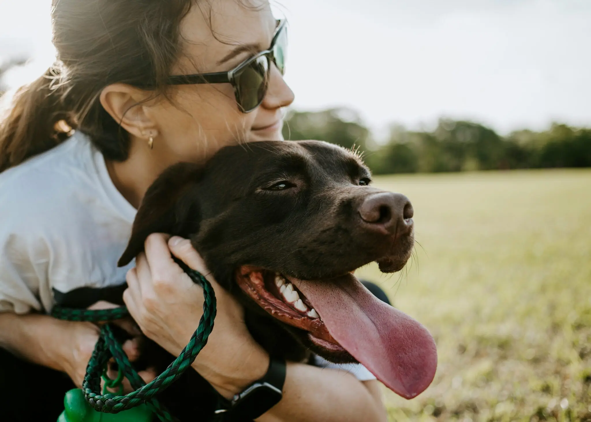 Un perro reencuentra a su familia tras cinco años perdido: el vídeo viral que emociona 1 perro perdido cinco años