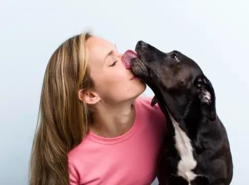 perro te elije