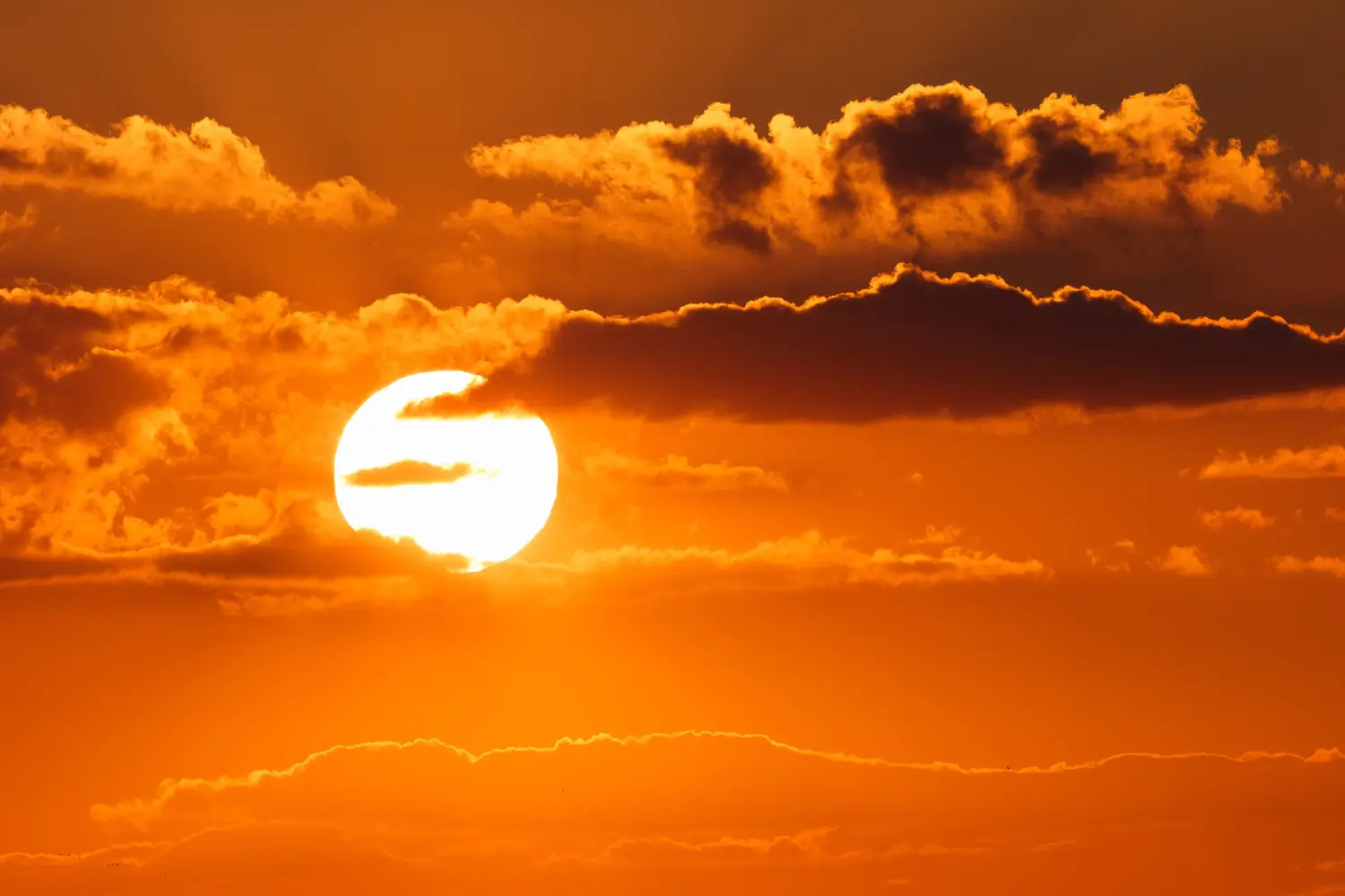 Científicos encuentran vórtices solares nunca vistos en las primeras imágenes en HD del Sol Científicos encuentran vórtices solares nunca vistos en las primeras imágenes en HD del Sol