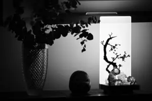 terrarios plantas interior