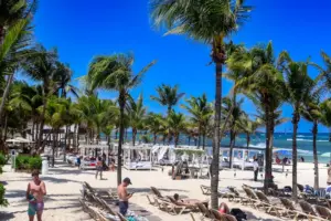 A beach filled with lots of palm trees